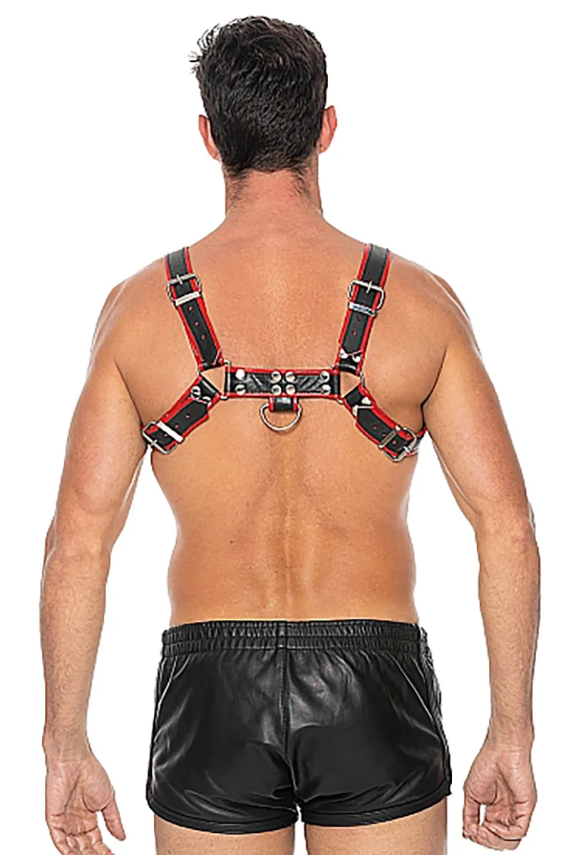 Black and Red Bulldog Chest Harness