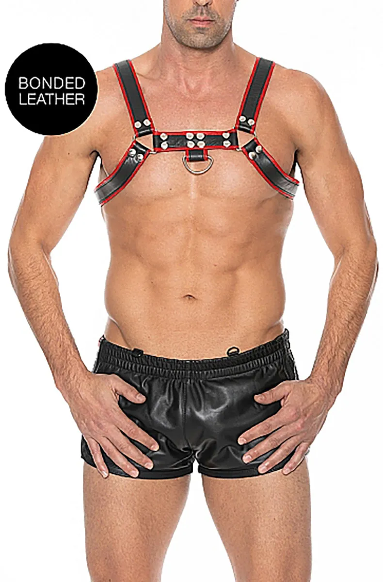 Black and Red Bulldog Chest Harness