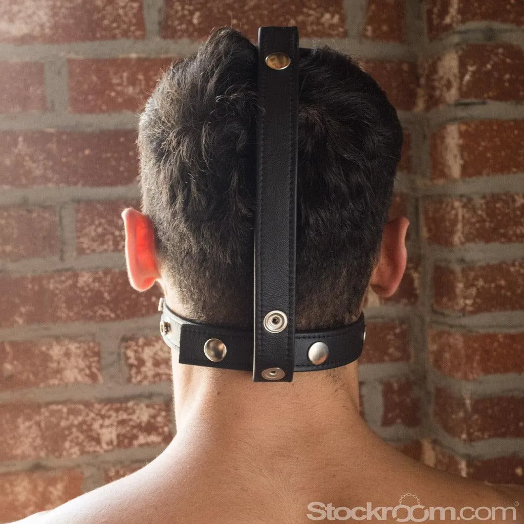Head-On Harness