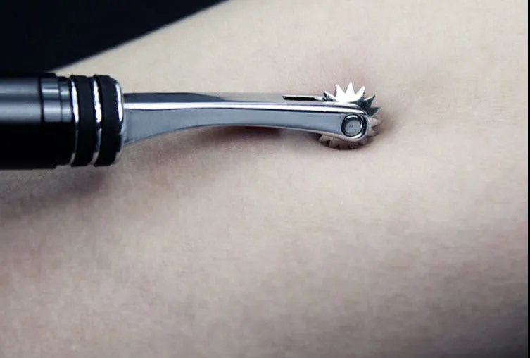 ROOMFUN Wartenberg Wheel Your Master Punish SM Toy