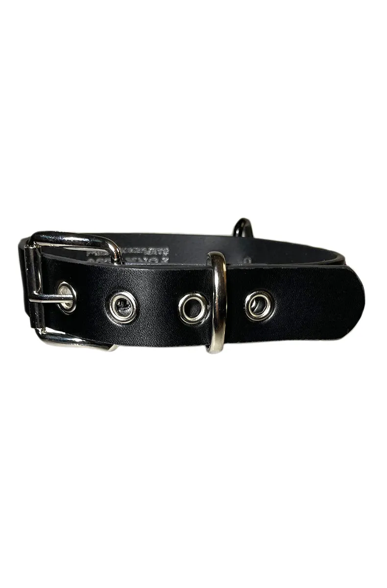 Tease BDSM Collar